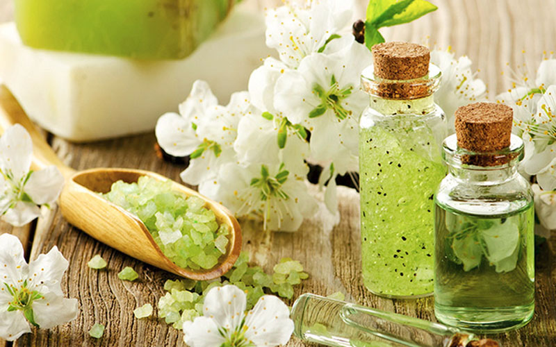 Tìm Hiểu Về Các Thành Phần Tự Nhiên Tuyệt Vời Trong Mỹ Phẩm Thuần Chay